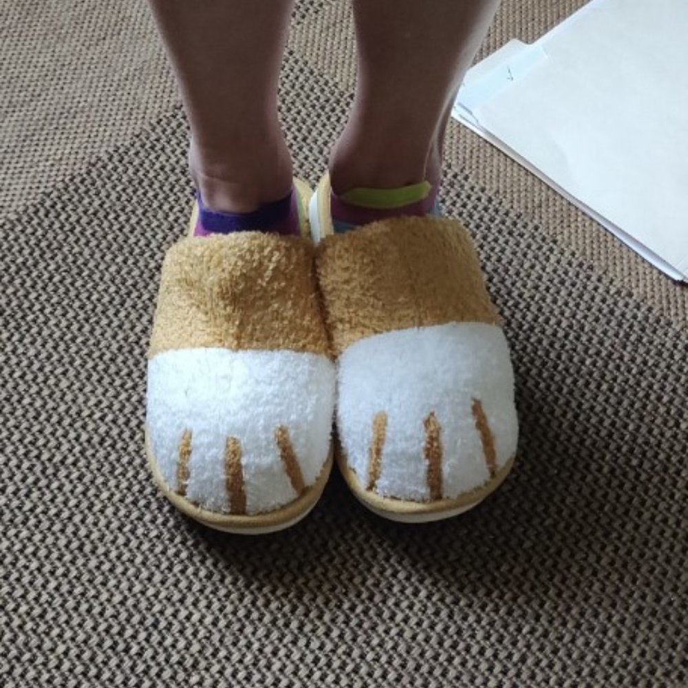 Cute Animal Slippers for Women, Winter Warm Memory Foam Soft Cozy Booties